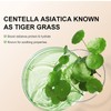 CC Cream, CC Creme mit Centella Asiatica für Farbkorrektur Voll