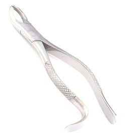 LAJA IMPORTS 1PC Dental Instrument 18L EXTRACTING Forceps Stainless Steel