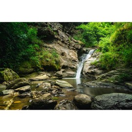 ZatiasMiller Waterfall Terrarium Background Tropical Rainforest Aquarium Background Mountain Lake Green Tree Big Stones Reptile Habitat Background Fish Tank Background Decor Vinyl 36x18in