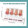 MedEduQuest Heel Pressure Injury Stages Model, Ulcer Demonstration Model