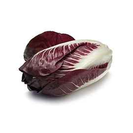 Rouge De Verona - Radicchio