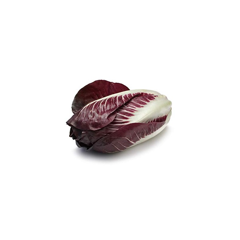 Rouge De Verona - Radicchio