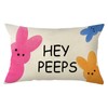 Ogiselestyle Easter Bunny Hey Peeps Throw Pillow Cover, 12 x
