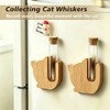 Cat Whisker Holder Fridge Magnet, Clear Glass vases with Wooden