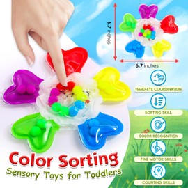 Color Sorting Sensory Toys, Fine Motor Skills Games for Toddlers, Montessori Preschool Outdoor Travel Learning Toys, for 3-5 Year Old Boys and Girls