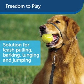 Petsafe Easy Walk Headcollar – No-Pull Dog Collar – Includes Leash – Perfect for Leash & Harness Training – Stops Pets from Pulling and Choking on Walks – Large, Black (EW-HC-L-BK-17)