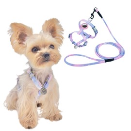 YorkieGogo No Pull Dog Harness and Leash with AirTag Holder for Small/Teacup Cats & Dogs, Anti-Escape Design, Cooling & Light Weight Vest, Perfect for Summer, Arnés para Perro (Purple, XXS)