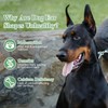 DOITOOL Doberman Dog Ear Posting Kit- Dog Ear Stand Up