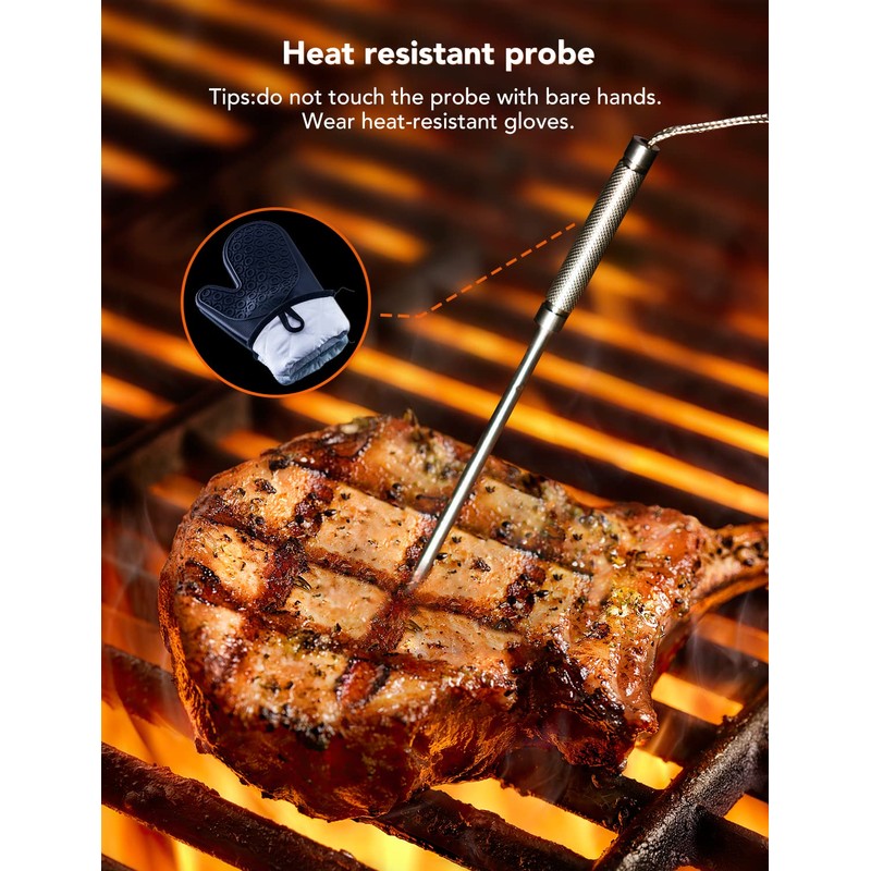 Govee Meat Thermometer 3.5mm Replacement Probes 2-Pack for Models H5181,