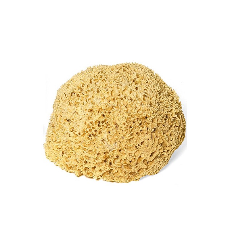 Badeschwamm und Duschschwamm Natur