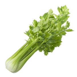 Celery Seeds, 200+ Tall Utah 52-70, Heirloom, Non GMO Seeds, Apium graveolens