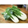 KIRA SEEDS - Seeds Bok Choy Chinese - Green Cabbage