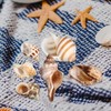 LIOOBO Hermit Crab Shells: 6Pcs Hermit Crab Conch Shells, Sea