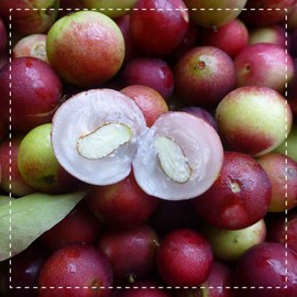 Biotiva Camu Camu Organic Powder 250 g - Natural Vitamin C - 100 EH Each 300 mg Vitamin C - No Sweeteners, Additives or Acids