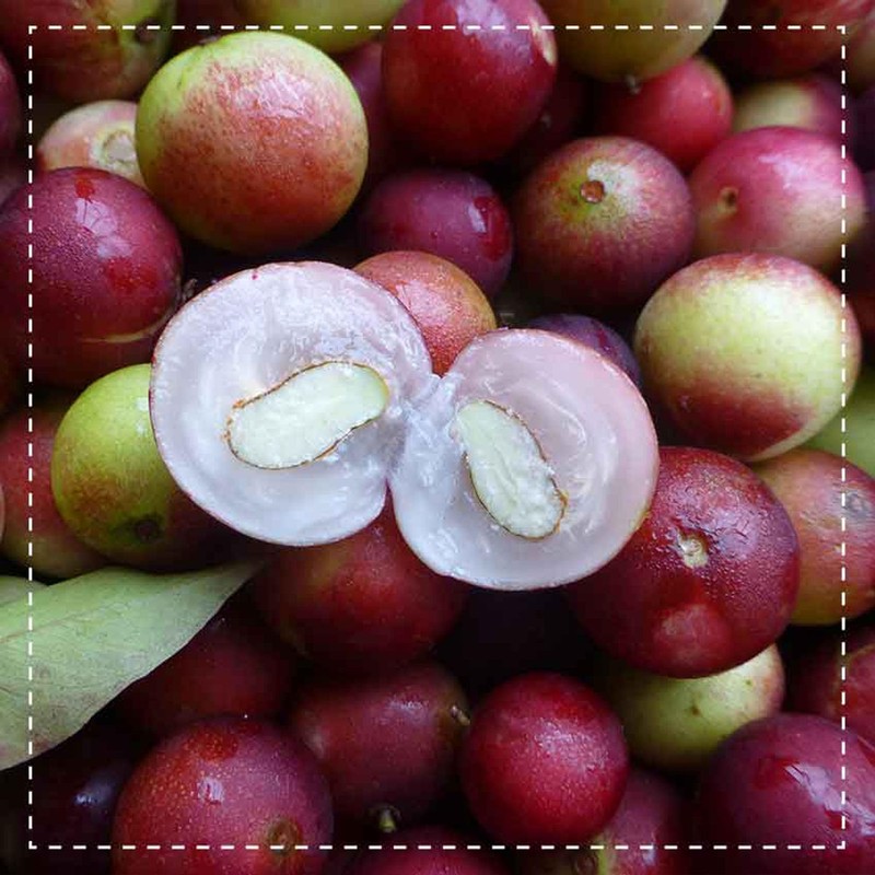 Biotiva Camu Camu Organic Powder 250 g - Natural Vitamin