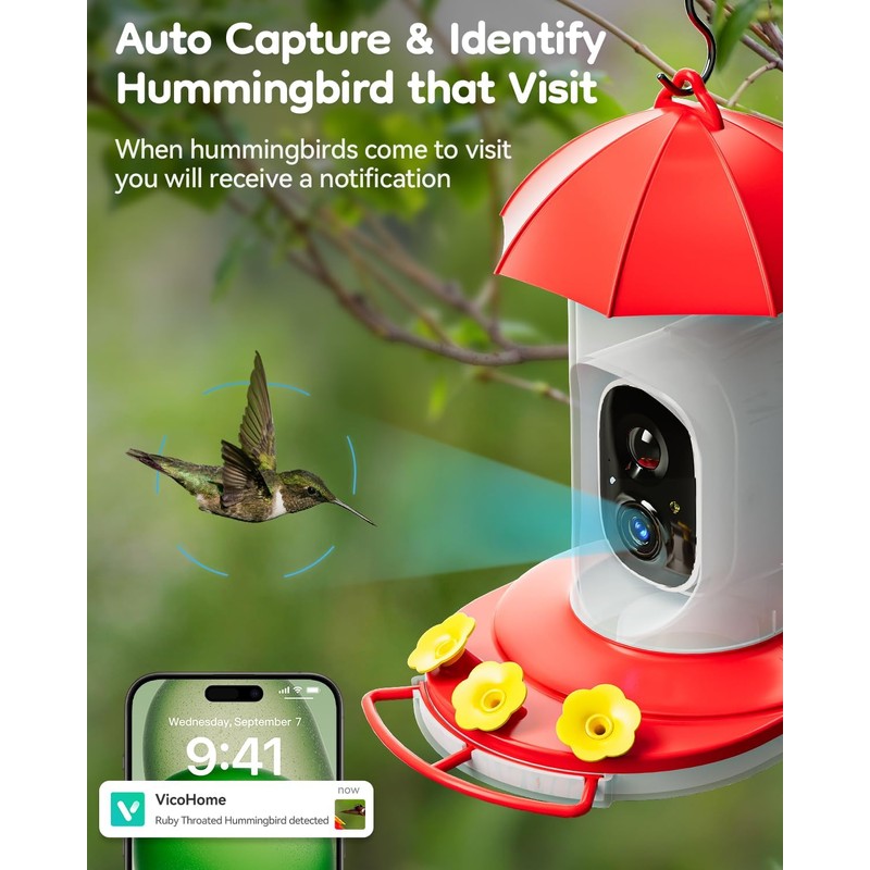 LongPlus® Hummingbird Feeder with Camera, Ant Moat, Bee Proof, Bird