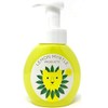 LEMON MYRTLE PRODUCTS Lemon Myrtle Hand Soap 8.5 fl oz