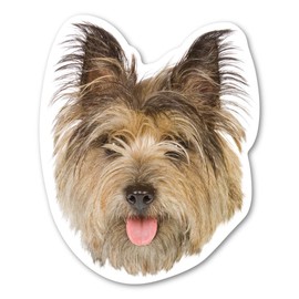 Magnet America Cairn Terrier Dog Magnet is 5.5" x 4.5" Made for Vehicles and Refrigerators