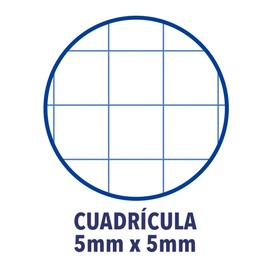 Oxford Super Conquerant Register 10 Bound 14.8 x 21 cm 192 Pages Small Squares 90 GSM Paper)