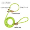 Slip Lead Rope Dog Leash Heavy Duty for Training, Nylon