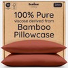 Bambaw 100% Viscose Derived from Bamboo Pillowcase Queen Size –