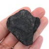 EISCO-12Pk Raw Anthracite Coal, Metamorphic Rock Specimens Approx. 1 Geologist