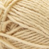 Bernat Forever Fleece Yarn, 1 Pack, Chamomile