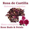 majcka4 Rosa de castilla Rosa de Castillo 3oz hierba Red