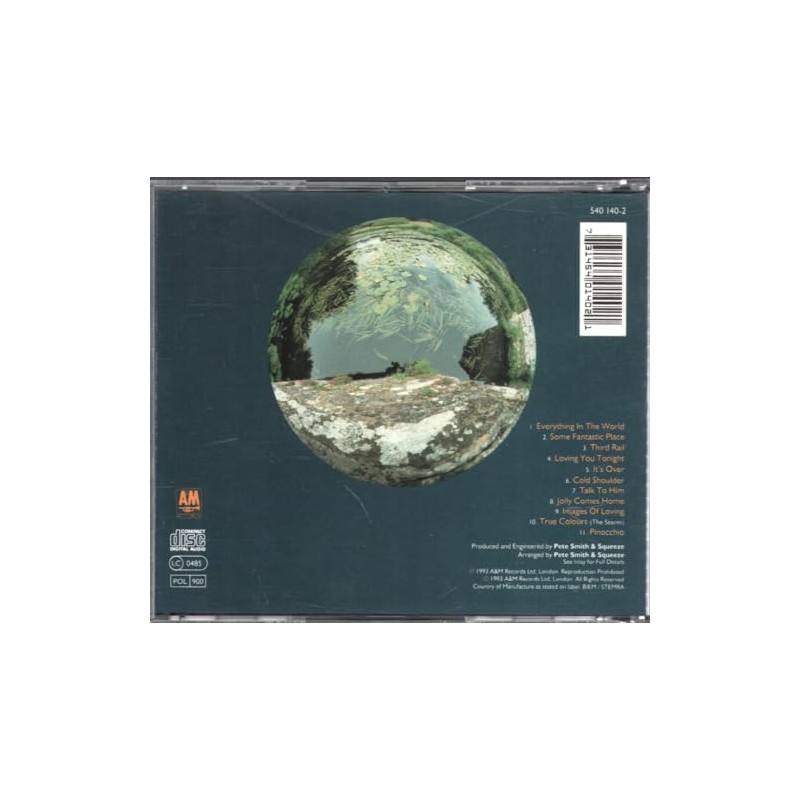 Some Fantastic Place