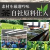 Sunpudo Chao Saemidori 210g | Kagoshima Prefecture | Chiran |
