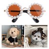 CATSELURRY Cat Dogs Sunglasses Funny Pet Glasses Round Pearl Cat
