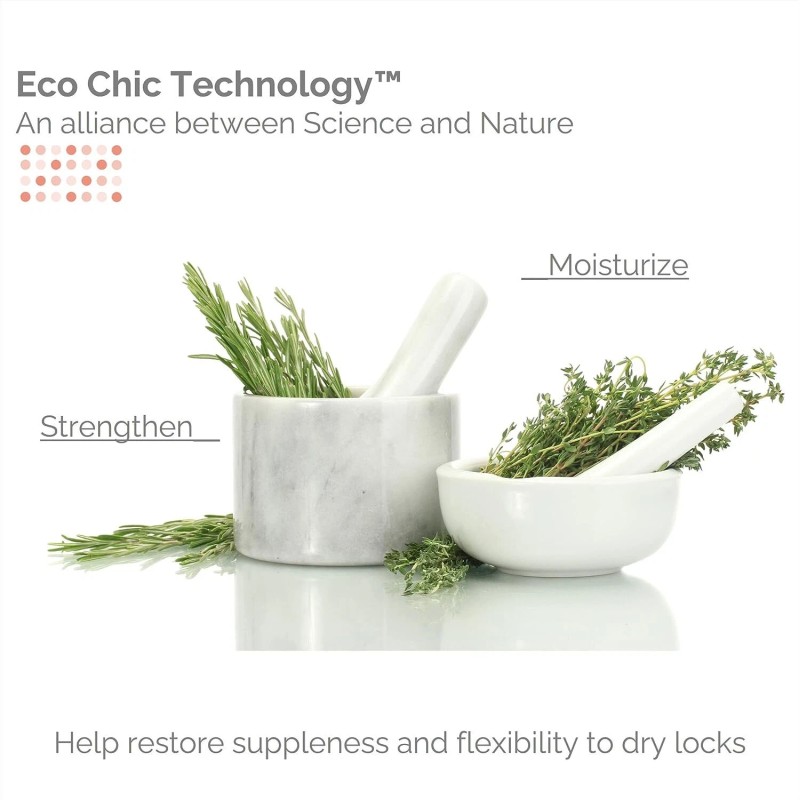 Giovanni 50:50 Balanced Shampoo Hydrating Clarifying 1 Each 8.5 Oz