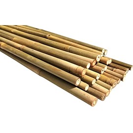 Dlh Western Natural Bamboo Poles, Eco-Friendly Plant Support Garden Stakes 4ft Long, Diameter of 3/8" (25-Count)