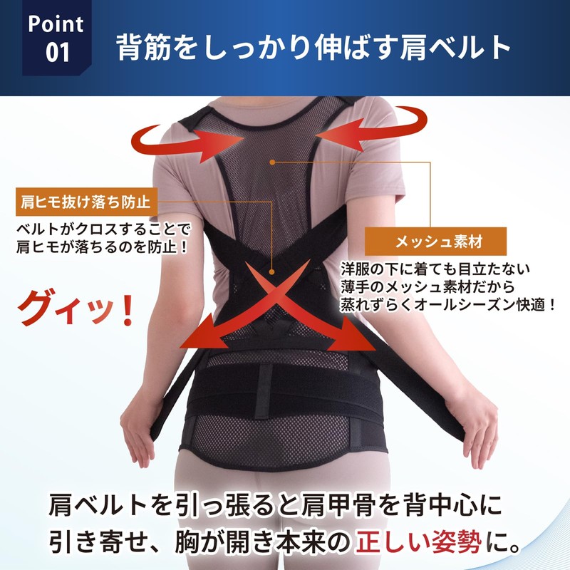 Lively Life Posture Supporter (Double Supports Spine Muscles and Pelvis