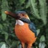 Vivid Arts Plant Pals - Kingfisher Plant Pal (PLP-104)