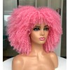 Curly Afro Wigs for Black Women Curly Wig with Bangs