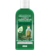 Shampoo Aceite Árbol De Te Tea Tree Orgánico 500ml