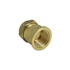 hep® 22mm Compression by 3/4" BSP Brass Female Iron Coupler