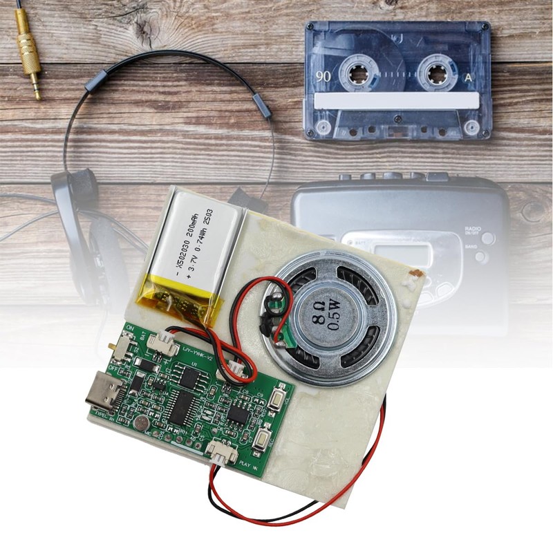 Nicear Recordable Sound Chip Plays Multiple Recordings Push Button Control