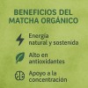 Matcha Orgánico Premium 100g Burchers Natural