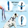 ShawnCo Dream Walk Dog Leash- Premium, Nylon Pet Leash with