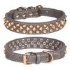 Bbmmayy Spiked Dog Collar, Mushrooms Rivet Studded Adjustable Pu Leather