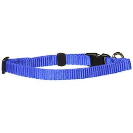 Fancypets TX44106 Juego Correa/Collar Acanalado, Talla Chica