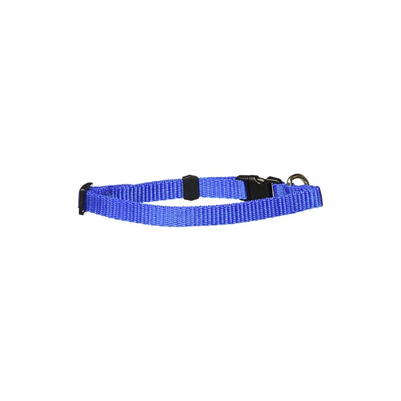 Fancypets TX44106 Juego Correa/Collar Acanalado, Talla Chica
