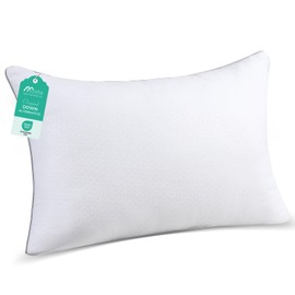 Sasttie Queen Size Pillow, Hotel Collection Single Bed Pillow for Side, Back, and Stomach Sleepers - Down Alternative Plump Filling - White, Set of 1, Queen, 20x30 Inches