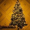 Twinkle Star Xmas Tree Lights, 30m 300 Fairy Lights Outdoor,