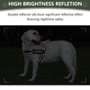 No Pull Dog Harness for Medium Dogs - Upgraded Heavy
