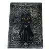 Fortune Telling Triple Moon Black Cat Wicca Tarot Cards Decorative