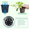Augshy Pots, black, 4inch