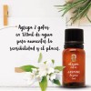 Oleum Vitae Aceite Esencial De Jazmín 100% Puro Y Orgánico